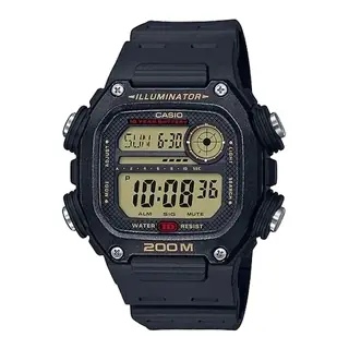 Casio DW-291H