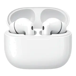 Wireless earbuds