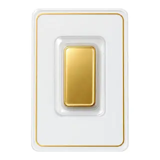 999.9 Gold Bar 1g (Public Gold)