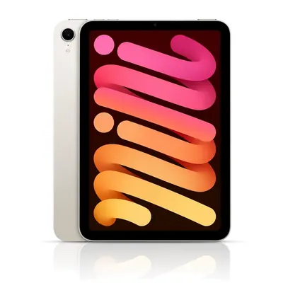 Apple iPad mini 256GB